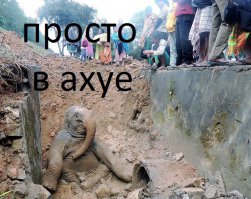 Подборка идиотских фотографий