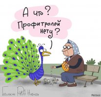 Как выглядит павлин в полете. Теперь ты видел все!