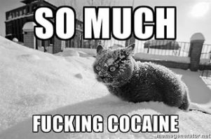 Ну очень энергичная собачка