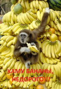 А я-то думал там у них примерно вот так :)