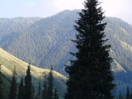 А поющий бархан, какая красота, но ехать по нашим дорогам тоже капец как утомительно, на радоновых источниках тоже очень здорово.