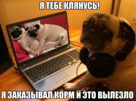 Был пойман с поличным, раскаиваюсь в содеянном!