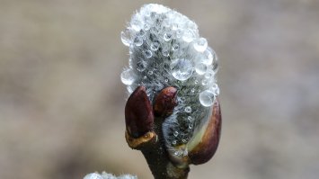 Мои попытки. d7000+60/2,8