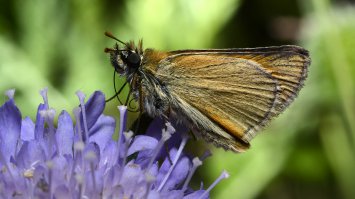 Мои попытки. d7000+60/2,8