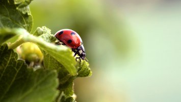 Мои попытки. d7000+60/2,8