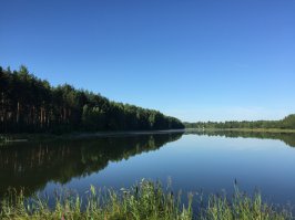 Несколько фоток прошлого лета. Витебская и Могилевская область. Снимал с телефона, так что извиняюсь за качество. А жена в Грецию тащит