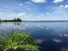 Несколько фоток прошлого лета. Витебская и Могилевская область. Снимал с телефона, так что извиняюсь за качество. А жена в Грецию тащит