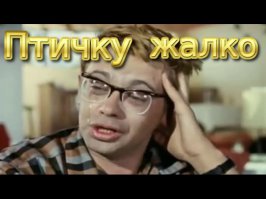 Осьминог поймал и съел севшую на поверхность воды чайку