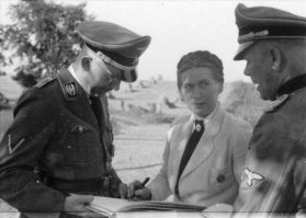 Что-то одинаково у Шольц-Клинк и Тимошенко