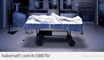 Такое вот нашёл ... теперь веришь?