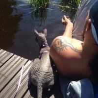 Люблю своего волосатого жопера! 
Знает как подлизаться, если что натворил! :)