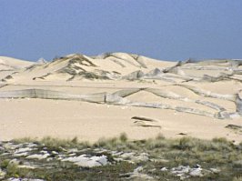 В Португалии тоже имеются свои дюны на побережье. Гиншю:
