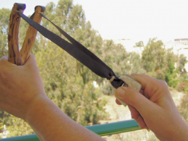 Креативный дизайн: семья из пяти человек живёт в гигантском парнике!