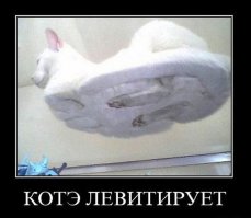 Показалось