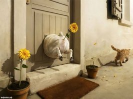 Каким-то образом, как-то, где -то и куда-то застряли  