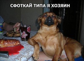 Был пойман с поличным, раскаиваюсь в содеянном!