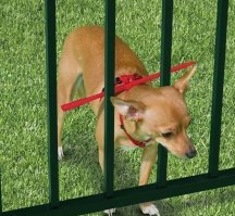 Каким-то образом, как-то, где -то и куда-то застряли  