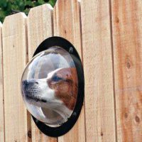 Каким-то образом, как-то, где -то и куда-то застряли  