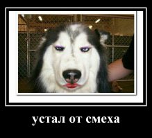 Подборка мотиваторов