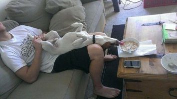 Был пойман с поличным, раскаиваюсь в содеянном!