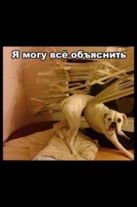 Был пойман с поличным, раскаиваюсь в содеянном!