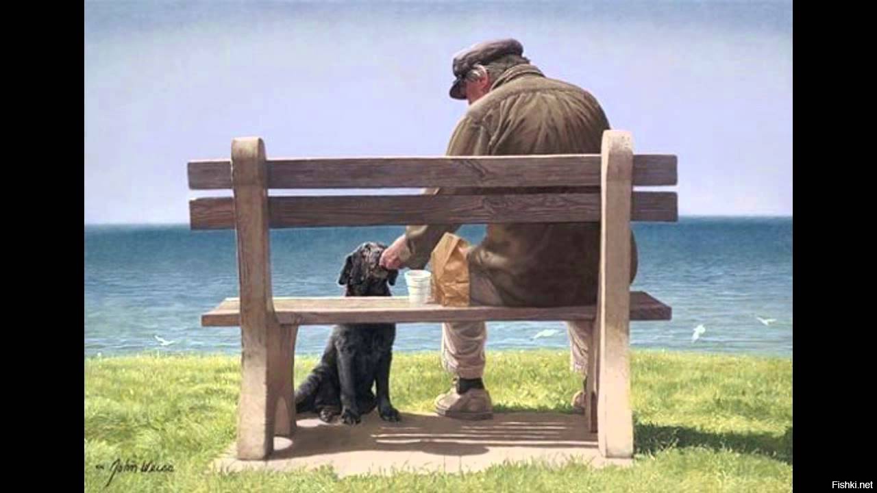 Старик на скамейке и собака