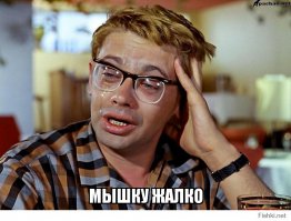 Господи, они это едят