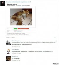 Смешные комментарии из социальных сетей 11.03.16