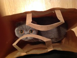 Да, любит моя это дело... :-)