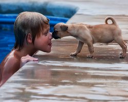  Кто-то засунул её в мешок и кинул прямо в яму с дёгтем