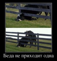 Каким-то образом, как-то, где -то и куда-то застряли  