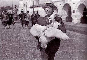 Вяленый гусь