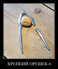 Фотоподборка за 14.03.2016