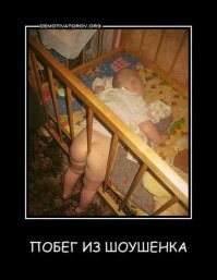 Этот пёс слишком умный, чтобы сидеть в клетке