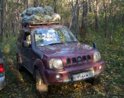 мой джим,присевший от нагруженных на багажник 12 мешков шишки и в салон 10 мешков.