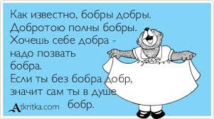 Интересные сведения об обыкновенном бобре