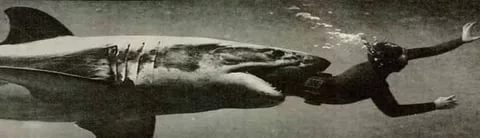  Завораживающие снимки с "подводной девушкой"