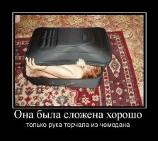 Гибкие девушки, которые не занимают много места 