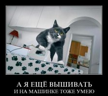 10 интересных фактов о кошках