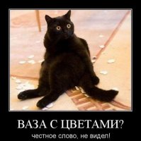 Пойманы с поличным!