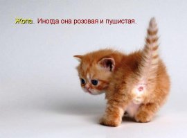 Неравный бой