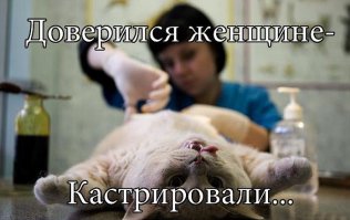 Коты и девушки 