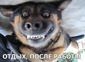 Чуйская долина 