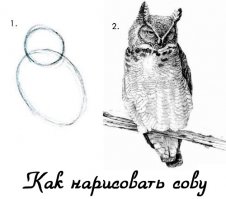 Как производят фанеру