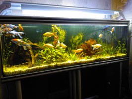 Эх!Надо себе такой замутить