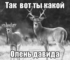 Подборка ужасно красивых фотографий