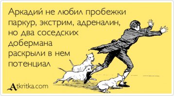 Любитель подразнить собак