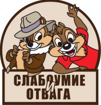 Экстремал на скейте влетел в легковушку