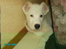 да да нефиг дразнить вот мой Абай !