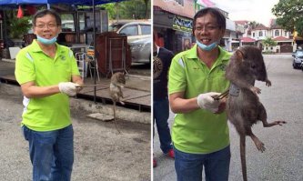 Перспектива, решает всё!